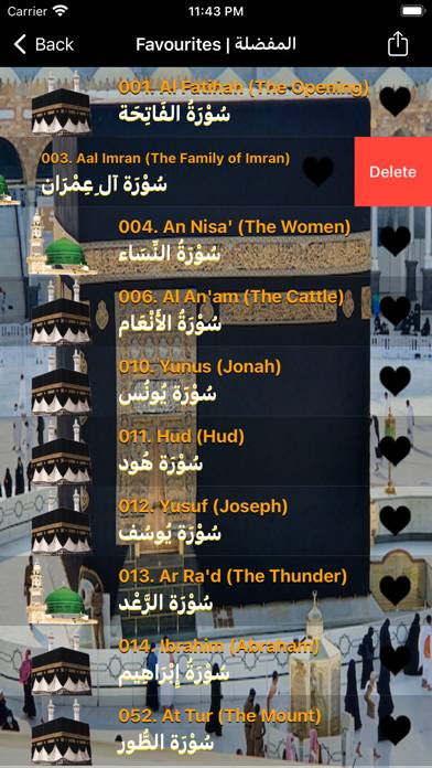 Quran Audio Mansour Al Salimi App screenshot #2