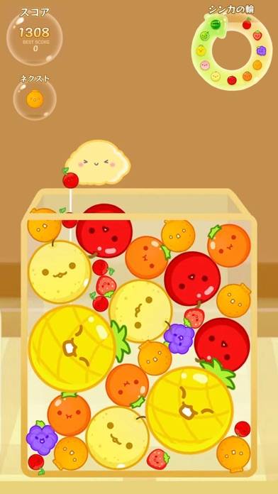 Watermelon Game Sorting Puzzle Captura de pantalla de la aplicación #3