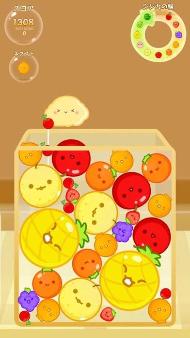 Watermelon Game Sorting Puzzle game screenshot