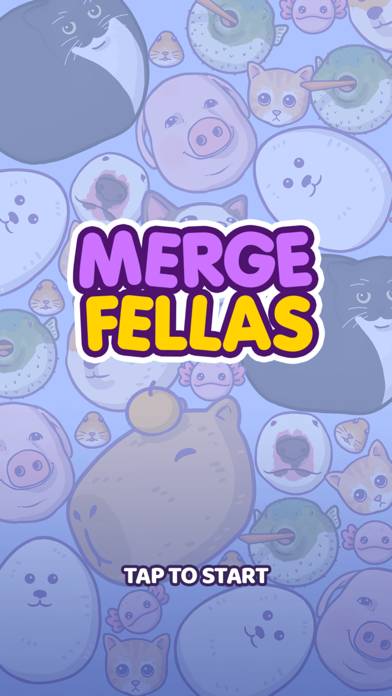 Merge Fellas App preview #1