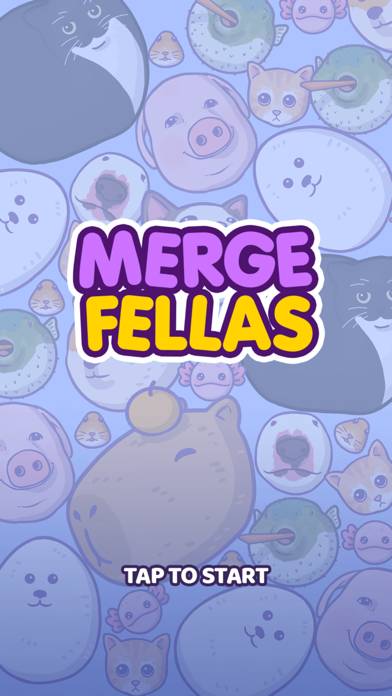 Merge Fellas App screenshot #1