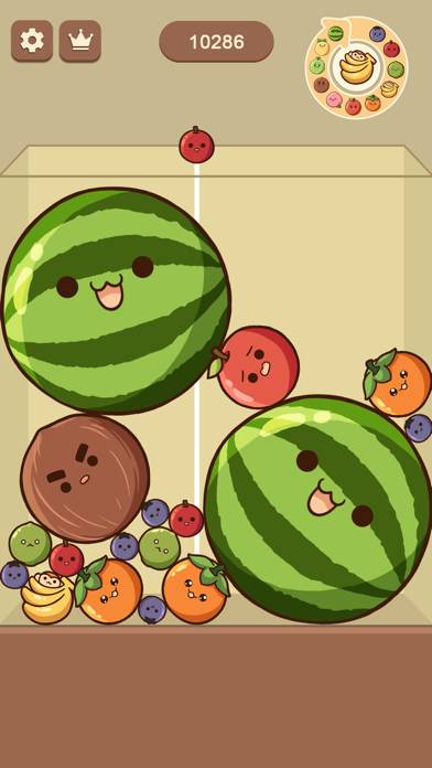 Watermelon Drop: Fruit Merge App preview #1