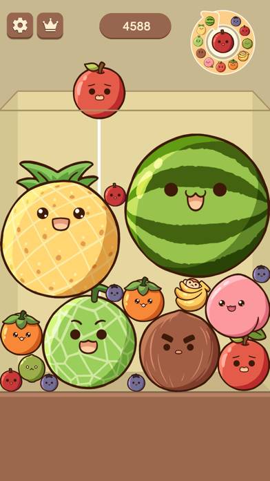 Watermelon Drop: Fruit Merge App preview #2