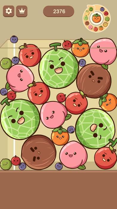 Watermelon Drop: Fruit Merge App preview #4