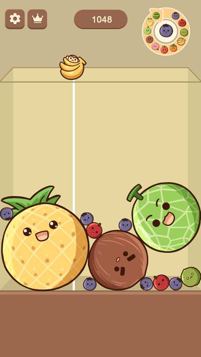 Watermelon Drop: Fruit Merge App preview #6