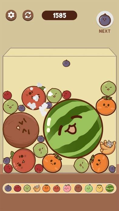 Watermelon Game: Kawaii Fruit Capture d'écran de l'application #4