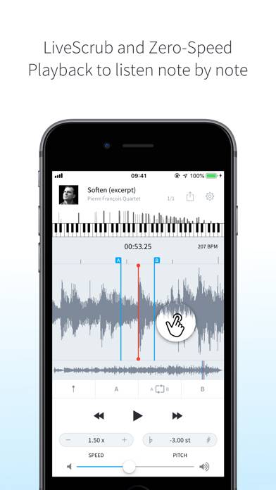AudioStretch Lite Schermata dell'app #3