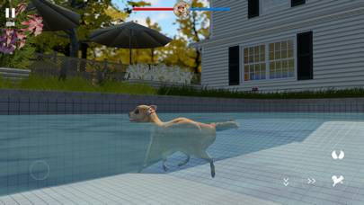 Flying Squirrel Simulator Game game screenshot