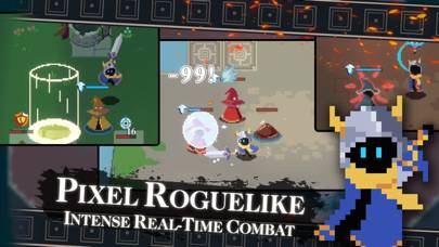 Endless Wander - Roguelike RPG captura de pantalla