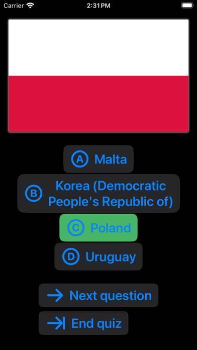 Super Flags: Flag Quiz Schermata dell'app #4