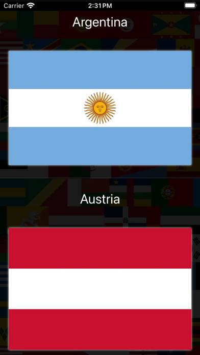 Super Flags: Flag Quiz Schermata dell'app #6