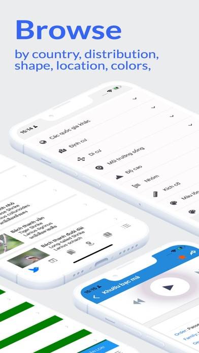 Vietnam Birds (plus) App screenshot #2