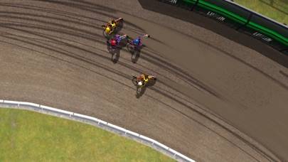 Speedway Challenge 2024 game screenshot