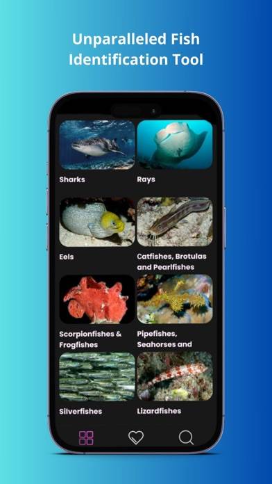 Maldivian Fish Guide App screenshot #2