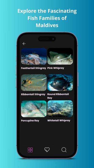 Maldivian Fish Guide App screenshot #3