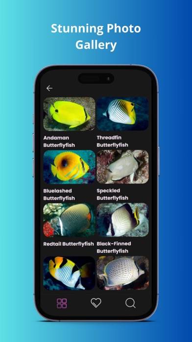 Maldivian Fish Guide App screenshot #5