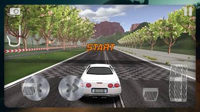 Car Racing Ultimate 2024 game screenshot