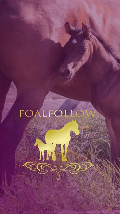 FoalFollow English App skärmdump #1