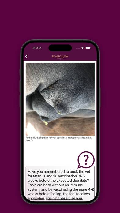 FoalFollow English App screenshot #6