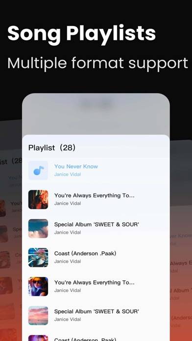 Offline Player- Sounda Music App screenshot #5