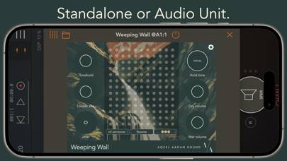 Weeping Wall Schermata dell'app #2