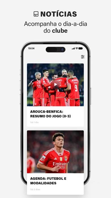 SL Benfica Official App Capture d'écran de l'application #6