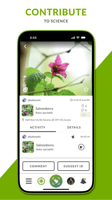 INaturalist App screenshot
