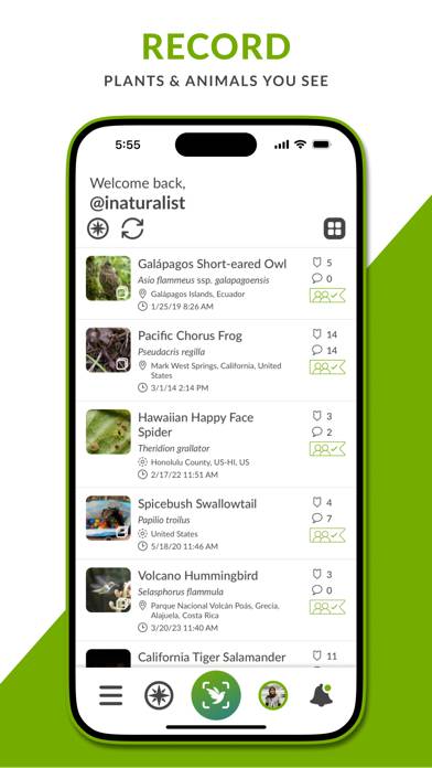 INaturalist App screenshot