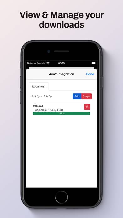 Aria2 Integration App screenshot