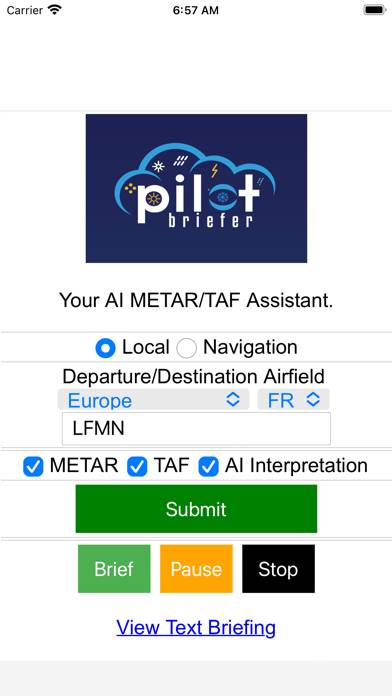 Pilot-Briefer App screenshot #1