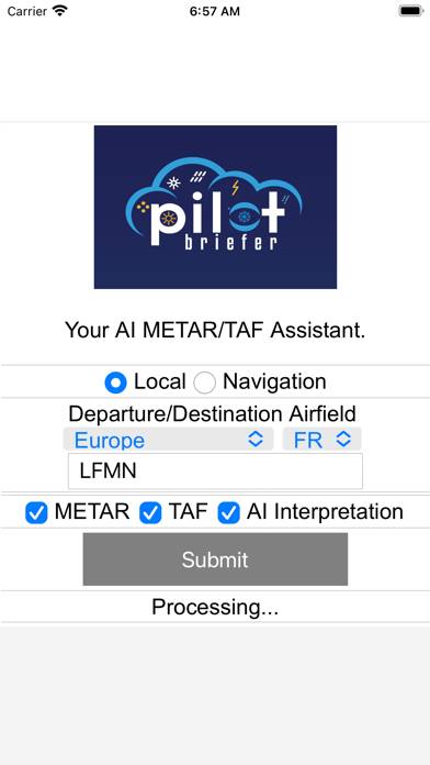 Pilot-Briefer App screenshot #3