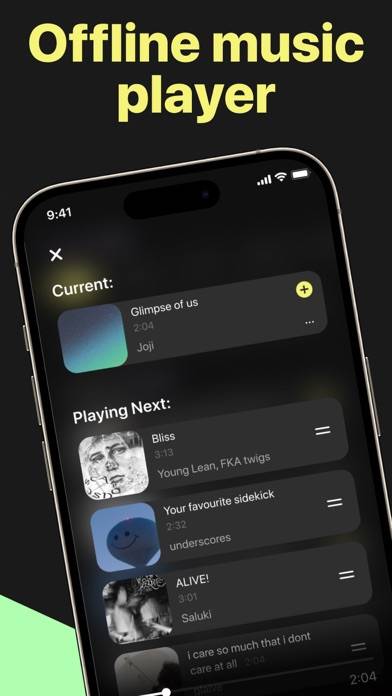 The offline music player Captura de pantalla de la aplicación #1