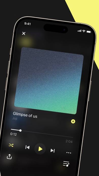 The offline music player Captura de pantalla de la aplicación #2