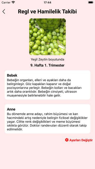 Mompedia App screenshot