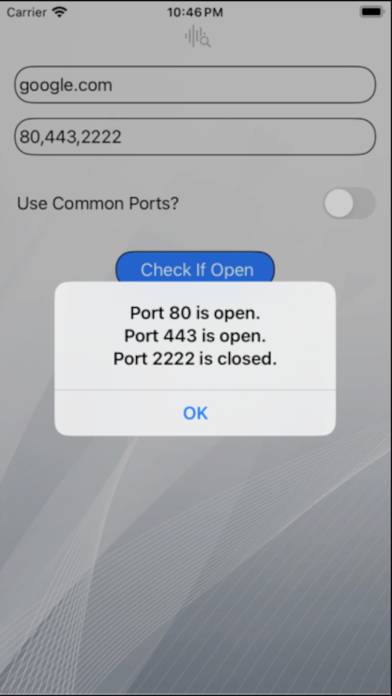 Open Port Scanner Скриншот