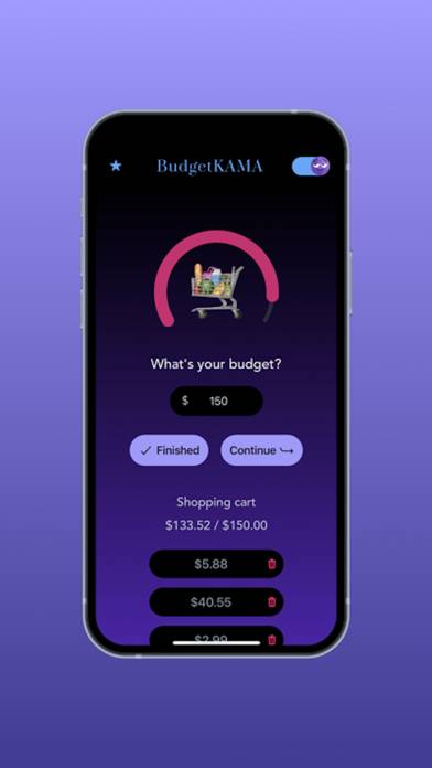 BudgetKAMA App screenshot #6