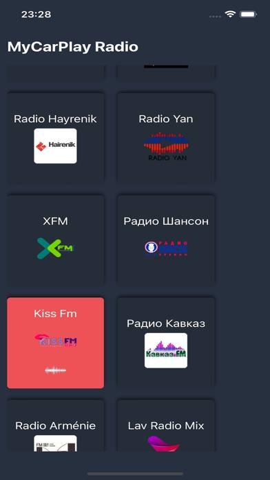MyCarPlay Radio App skärmdump #2