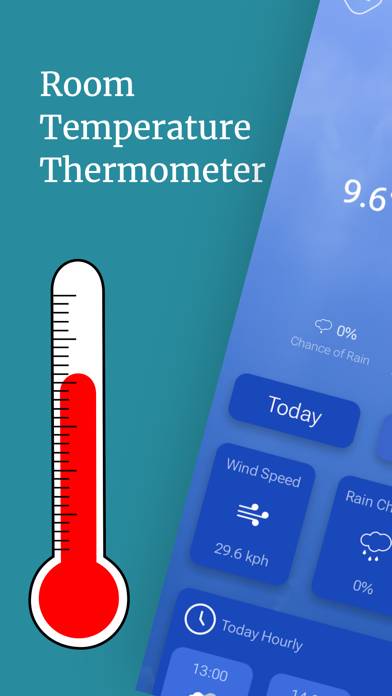 Termometro ambiente e umidita immagine dello schermo