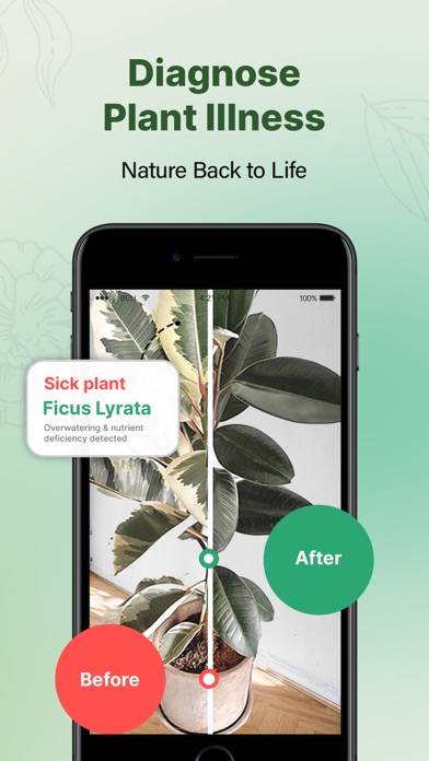 PlantOn Captura de pantalla de la aplicación #3
