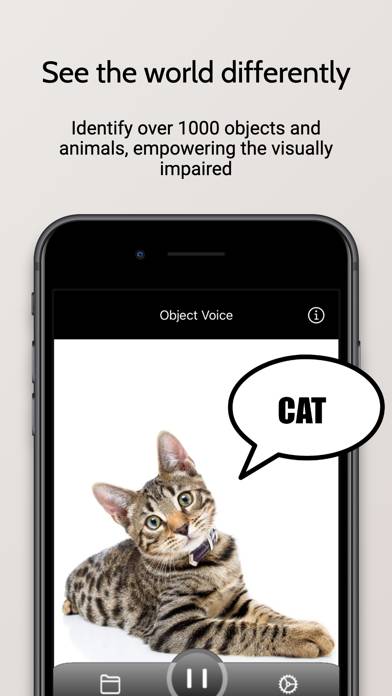 Object Voice capture d'écran