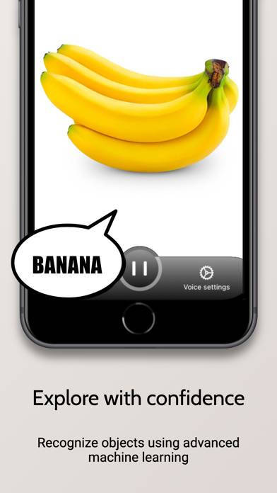 Object Voice App-Screenshot #2