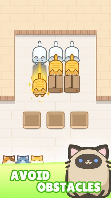 Block Cat jam App screenshot #2
