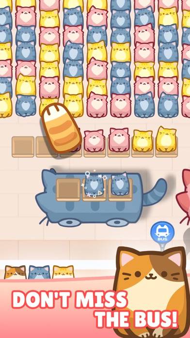 Block Cat jam App screenshot #3