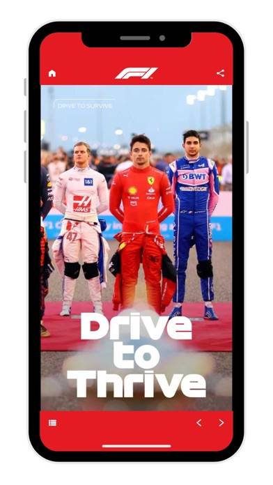 F1 Race Programme 2024 App-Screenshot #5