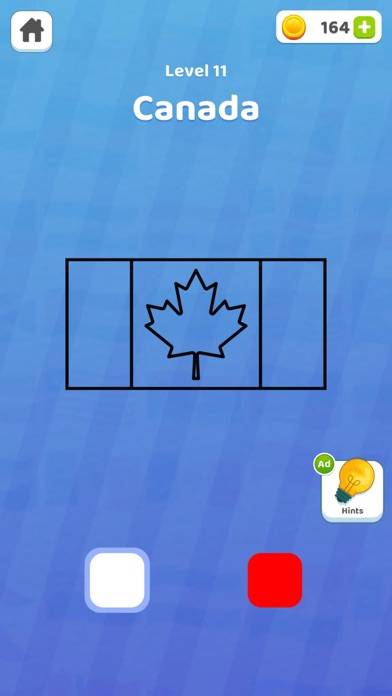 Paint Flag Color Match Puzzle App skärmdump #5