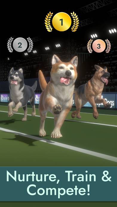 Top Dogs: Best in Show App screenshot #1