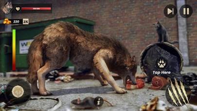 The Wild Wolf Life Sim Games screenshot