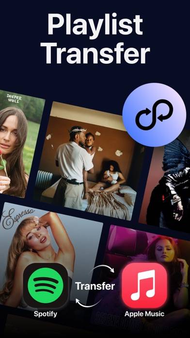 Playlist Transfer: Shift Music