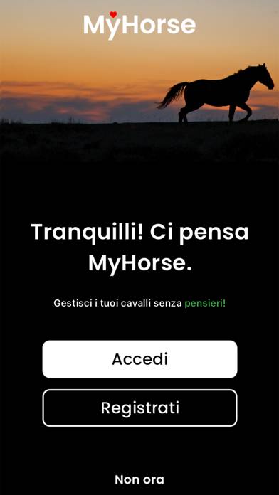 MyHorse Stables immagine dello schermo