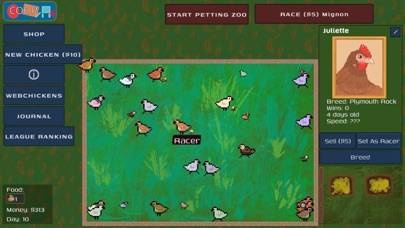 Mignon: Chicken Racing League screenshot